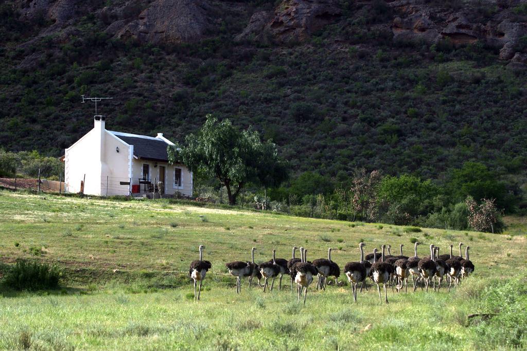 Red Stone Hills Villa Buffelskloof ภายนอก รูปภาพ